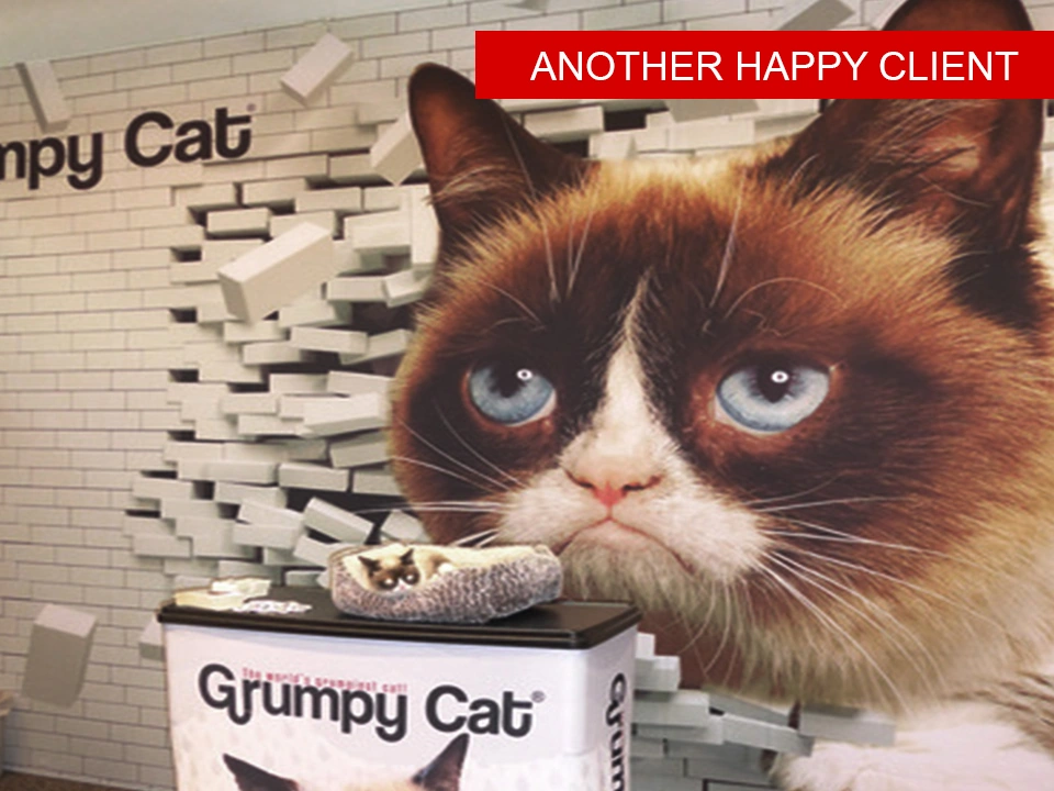Client display — Grumpy Cat